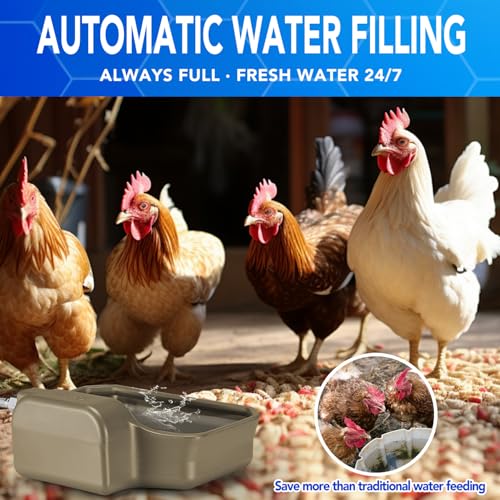 Auto Fill Dog Water Bowl