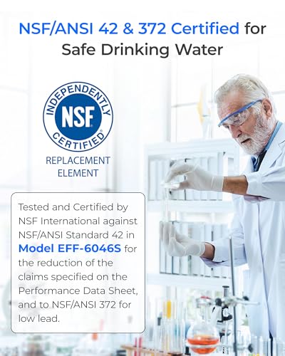 LT1000PC Refrigerator Water Filter and Air Filter (2 Count)