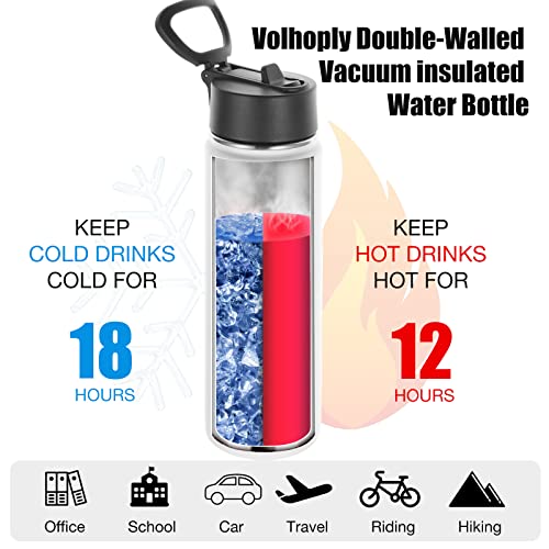 Insulated Water Bottles with Straw Bulk 8 Pack (8 Count)