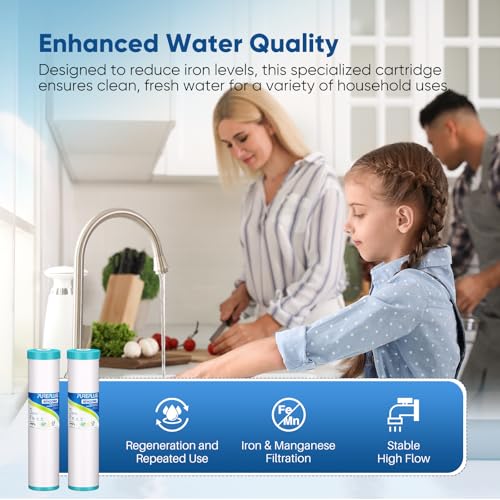 5 Micron 20" x 4.5" RFN20BB Whole House Iron & Manganese Reduce Water Filter Replacement Cartridge