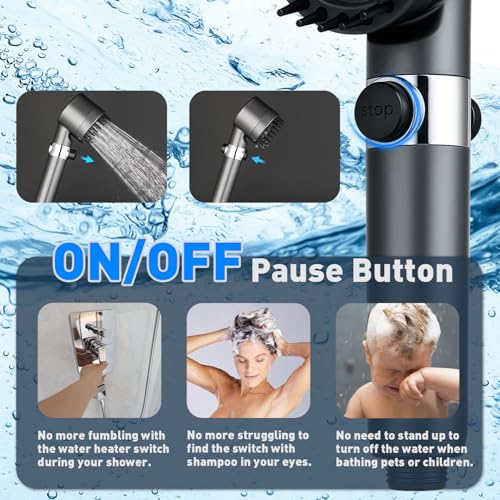 Filtered Shower Head with Handheld (4 Count)