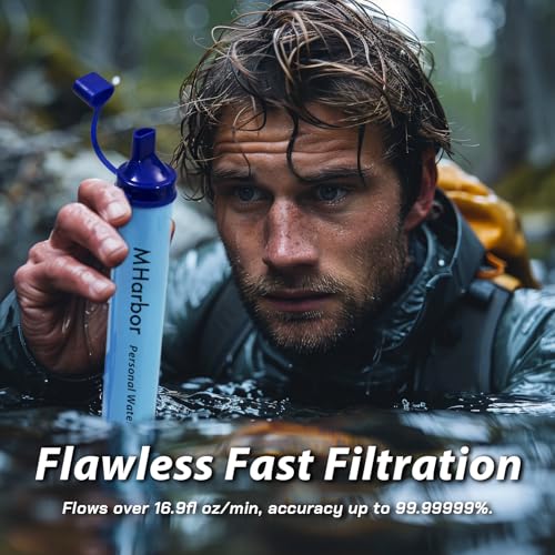 Personal Water Filter Straw (4 Count)