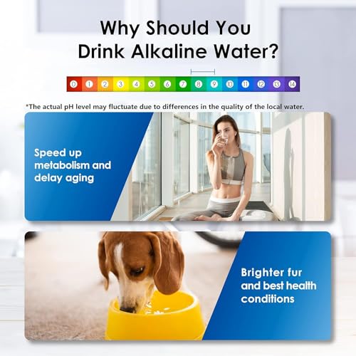 WFD-22L-A Alkaline Water Filter Dispenser, Large 40-Cup, Black