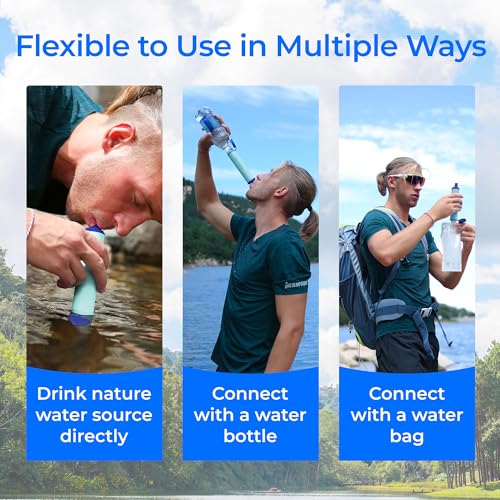 Portable Water Filter Straw (2 Count)