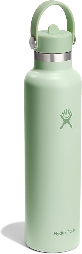 Hydro Flask Water Bottle - Insulated Stainless Steel - Straw Lid, Non Spill, Leakproof 24 Oz Aloe Green