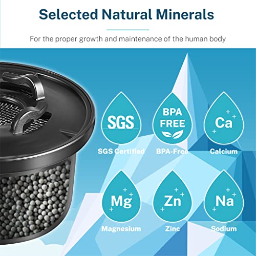 Official Remineralization Filter for RO100ROPOT