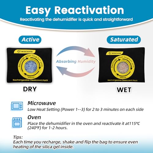 100g Reusable Silica Gel Desiccant Packs