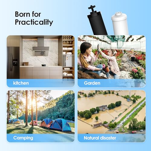 Gravity Water Filter (2 Count)
