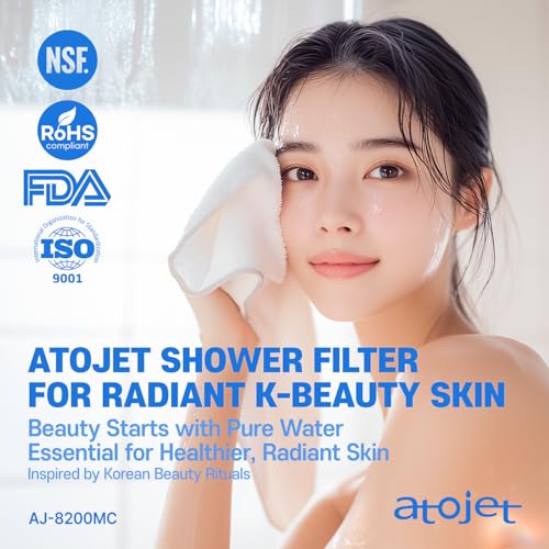 Showerhead Replacement Filters Inspired By Korea's Beauty Culture (10 Count)