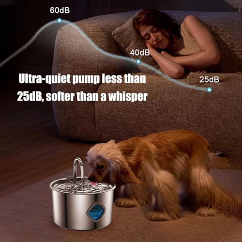Dog Water Bowl