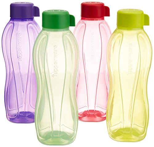 Eco Sports Water Bottle Screw Top Round 750ml 1pcs
