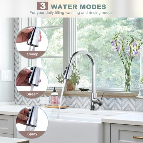 Chrome Kitchen Faucet with Sprayer