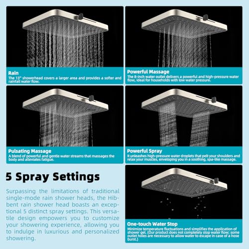 Rain Shower Head