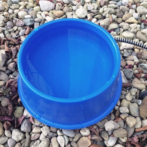 Farm Innovators 1 Quart Plastic Heated Pet Bowl with Anti Chew Cord and 25 Watts of Power for Rabbits (3 Count)
