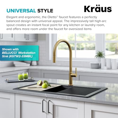 Oletto High Arc Single Handle Pull