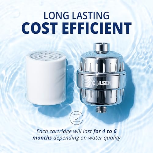 Shower head Filter