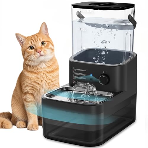 3L Filterless Cat Water Fountain