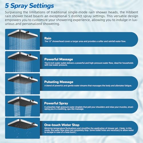 5 spray Dual Filtered Rainfall Shower Head with 10 Spray Handheld