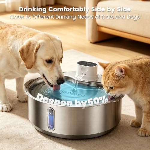 8L 270oz Cordless Stainless Steel Dog Water Fountain