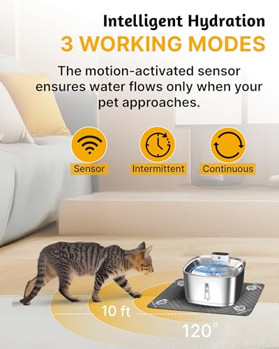 Wireless Cat Water Fountain