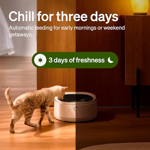 Automatic Cat Feeder Wet Food with Stainless Steel Bowl