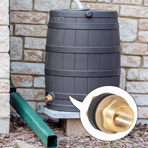 Brass Bulkhead Fitting with Plug 1