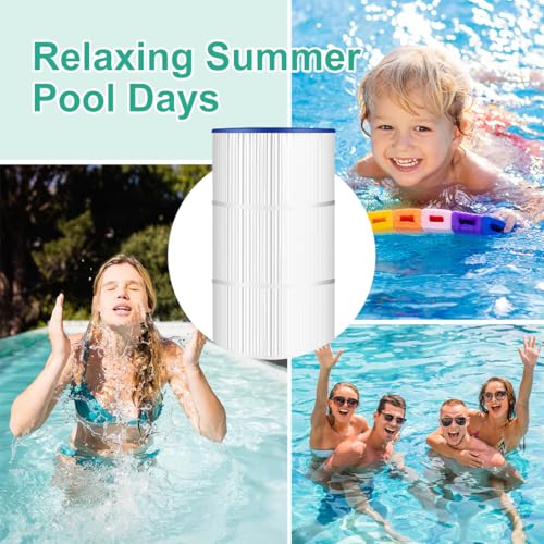 CC100 Pool Filter Compatible with CCRP100