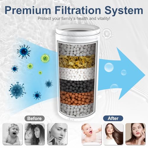 Filtered Rain Shower Head with Handheld Spray