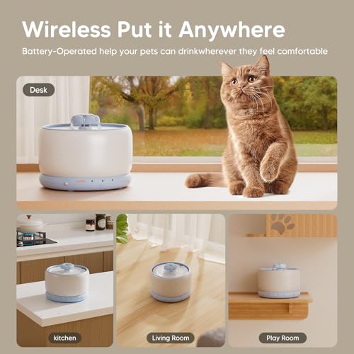 Wireless Cat Water Fountain