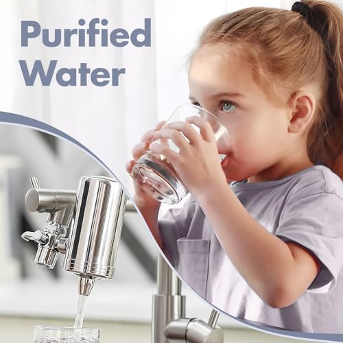 Kitchen Faucet with Water Filter and Pull Down Sprayer