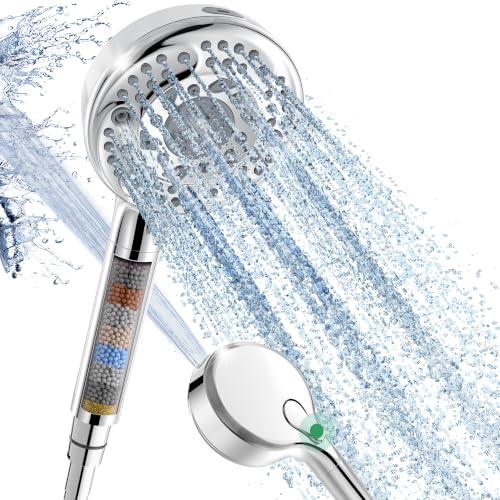 Filtered Shower Head with Handheld