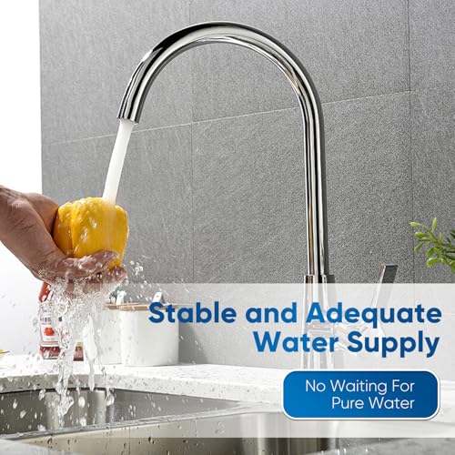 DW80 90 Under Sink Water Filter (2 Count)