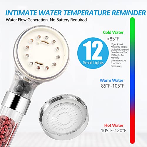 LED Shower Head with Handheld