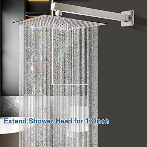 Shower Head with Extension Arm