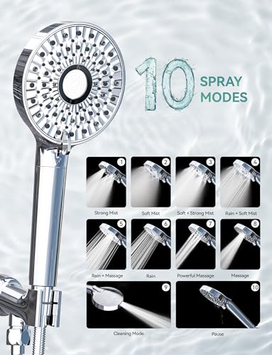Filtered Shower Head with Handheld