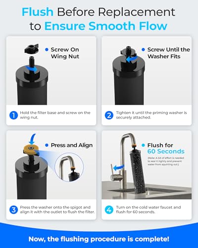 Alkaline Gravity Water Filter (2 Count)