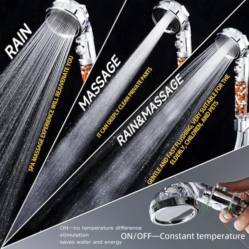 Filtered Shower Head with Handheld
