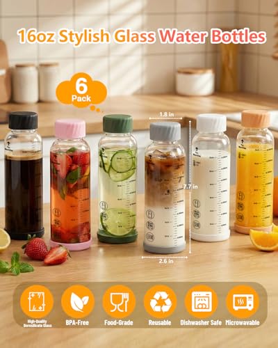 Borosilicate Glass Water Bottles with Stainless Steel Lid 16 oz (6 Count)