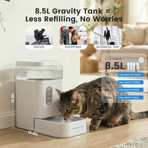 2.2 Gallon Automatic Dog Water Bowl Dispenser 8.5L Gravity Water Feeder with Stainless Steel Bowl & Maifan Stone Filter