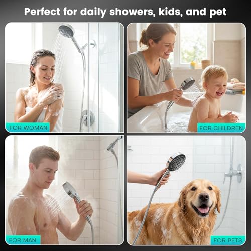 Filtered Shower Head with Handheld