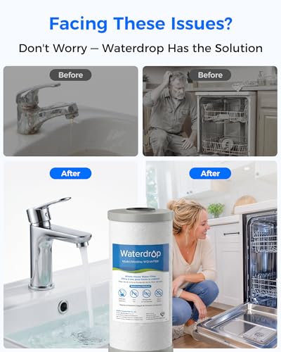 WF10F Whole House Water Filter