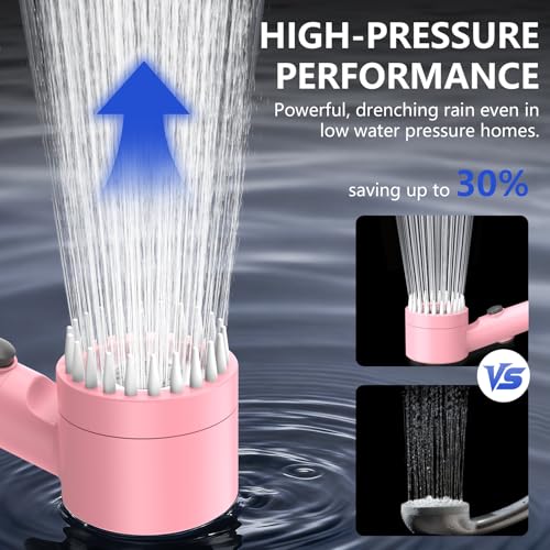 Filtered Shower Head with Handheld