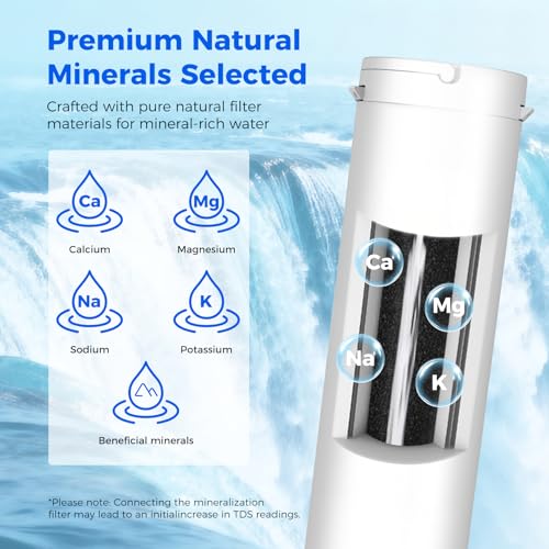 CT100 ALK Replacement Filter