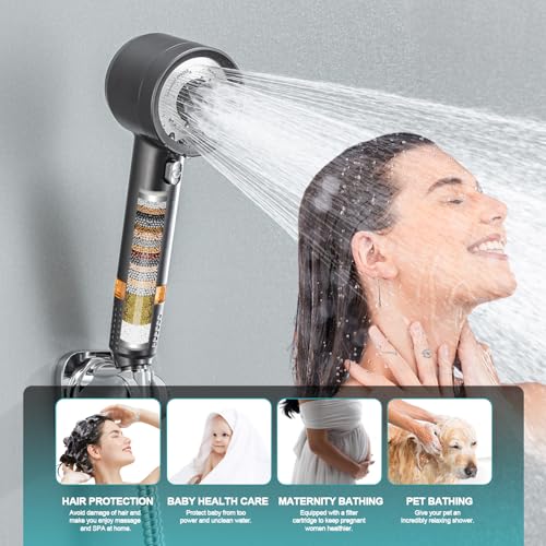 Shower Head with Handheld