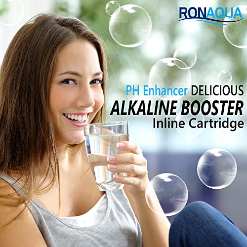 10 inch Universal Alkaline in