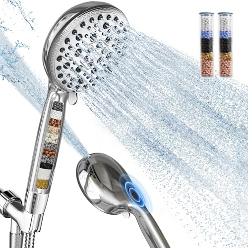 Shower Head with Handheld