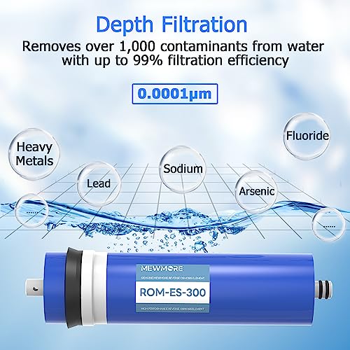 300 GPD RO Membrane Filter with Housing
