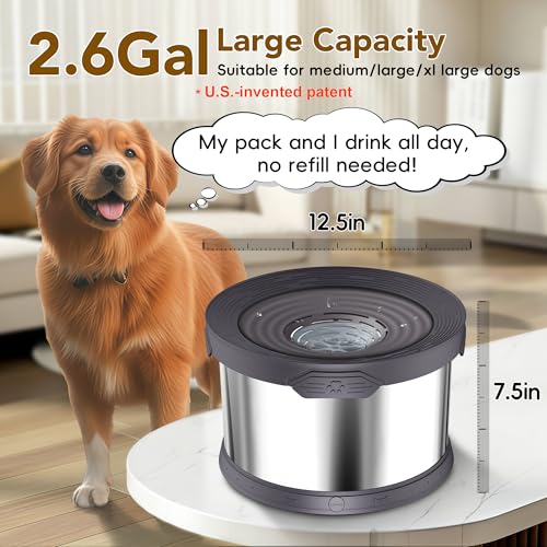 10L Dog Water Bowl No Spill Stainless Steel for Slow Drinking Grey