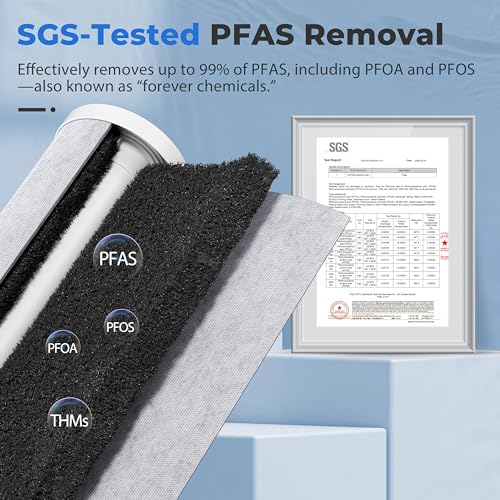 WGB32B PF PFAS Whole House Water Filter System
