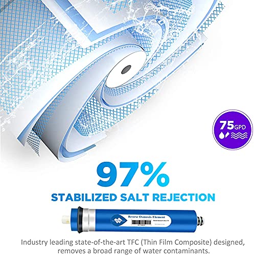 75 GPD Reverse Osmosis Membrane (2 Count)
